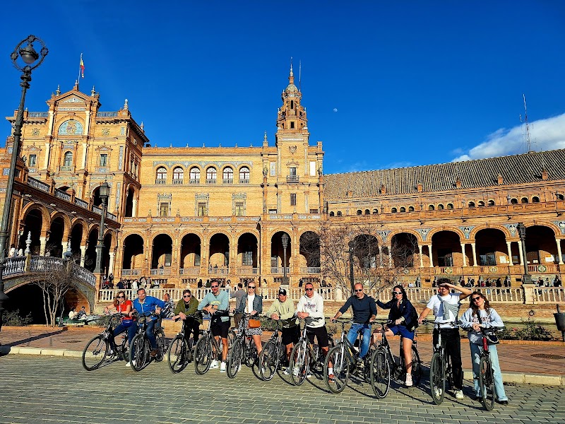 Activonic VIVA ACTIVE Travel - Padel, Tennis, Pickleball - Foto 3