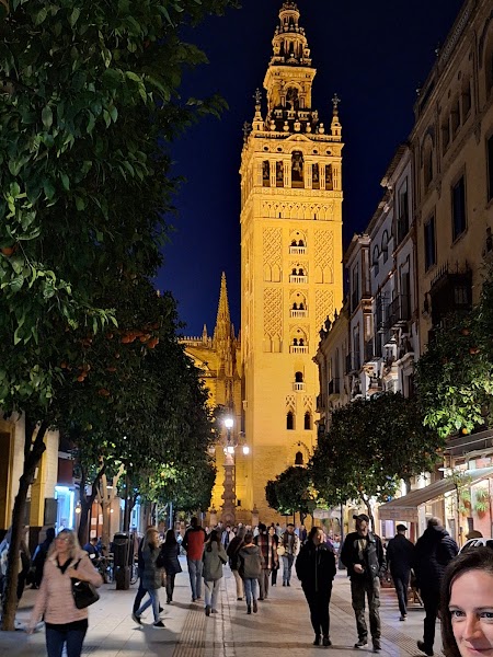 Activonic VIVA ACTIVE Travel - Padel, Tennis, Pickleball - Foto 5