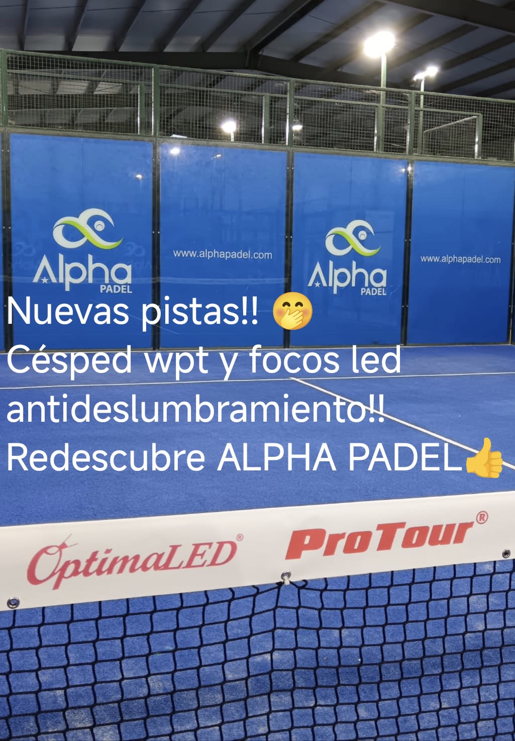 Alpha Padel