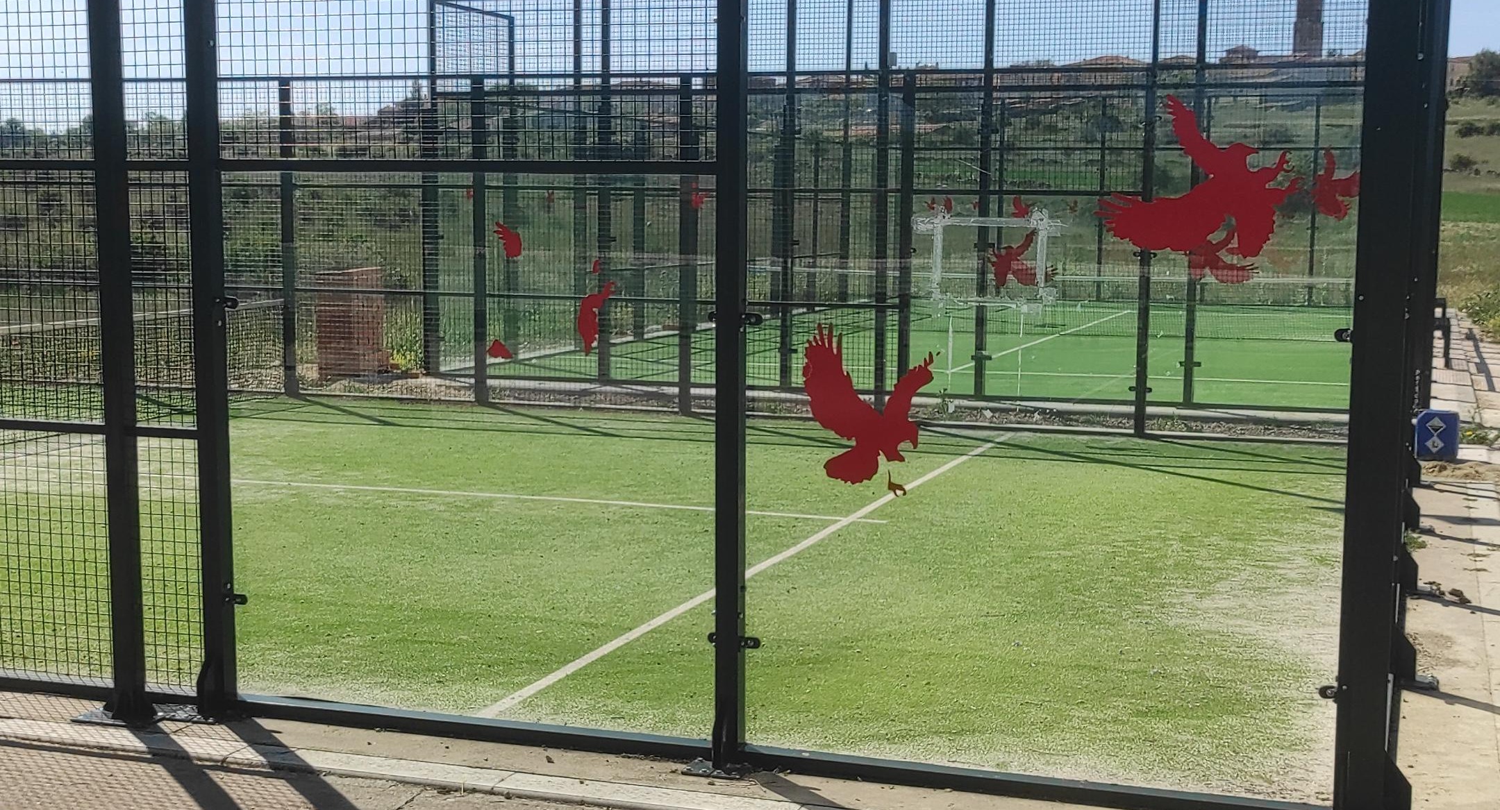 Ayuntamiento de Alcolea del Pinar en Alcolea del Pinar - Foto 1