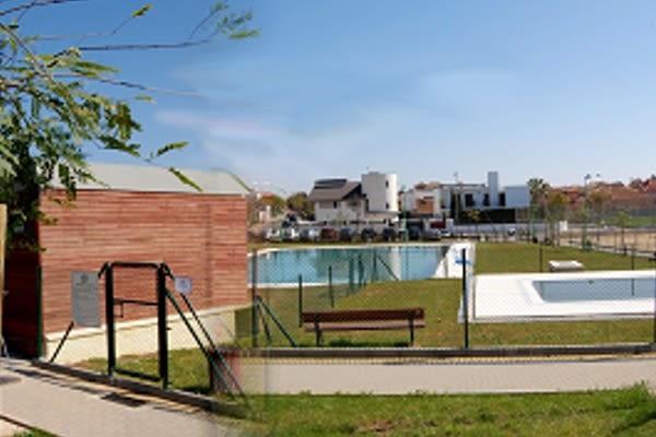 Cd Olivar De Quinto - Foto 2