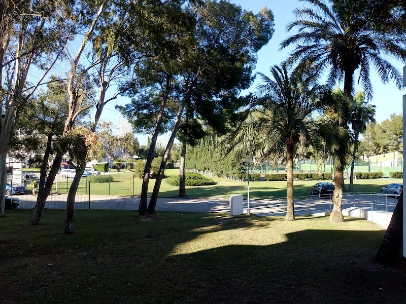 Club de Pádel y Tenis Alcudia Bellevue - Foto 4