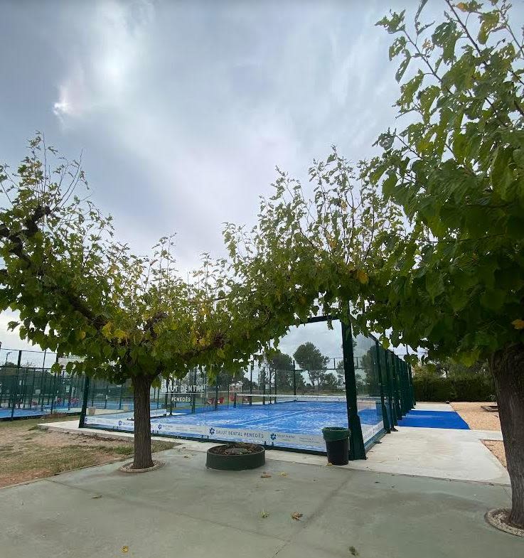 Club Pádel Vilafranca - Foto 2