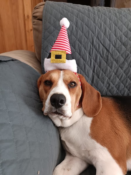 ESCUELA DE PADEL NAXO DIEZ - Foto 5