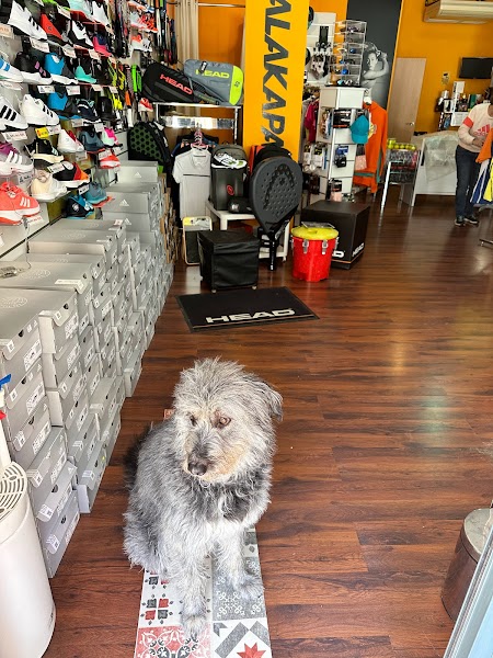 MALAKAPADEL - Foto 2