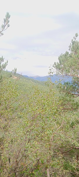 Pádel Tona - Foto 2