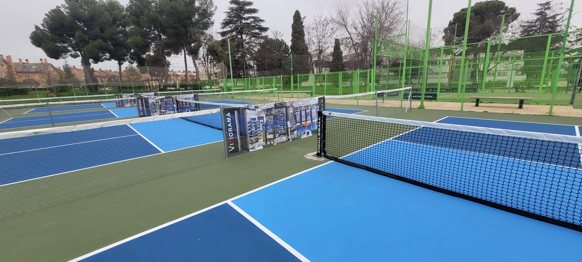 PICKLEBALL ALCALÁ CISNEROS - Foto 6