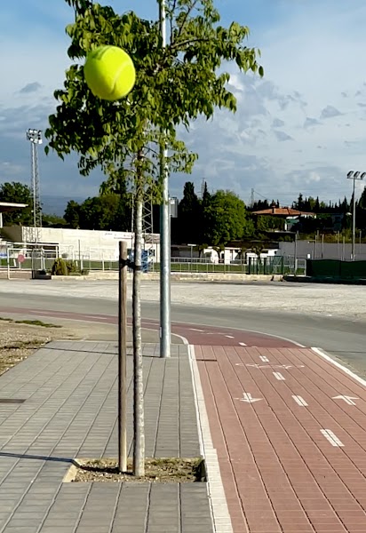 Pistas de Pádel en Llíria - Foto 1
