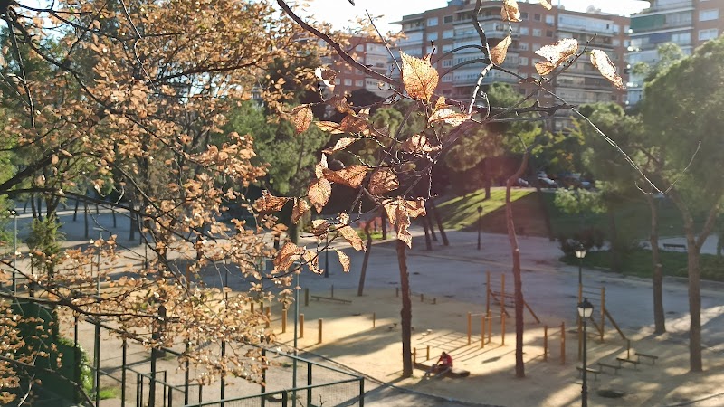 Pistas de pádel - Foto 4