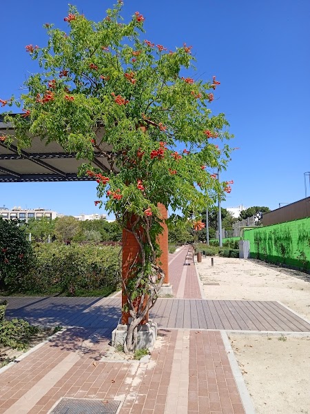 Pistas de pádel Parque de Santander - Foto 5