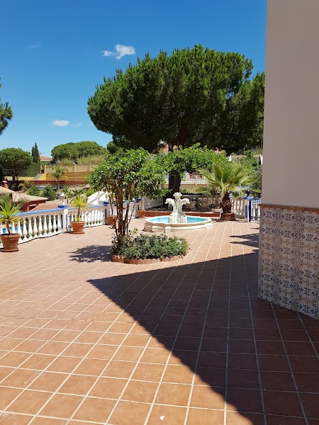 Pistas De Padel Pinos De Alhaurín - Foto 4