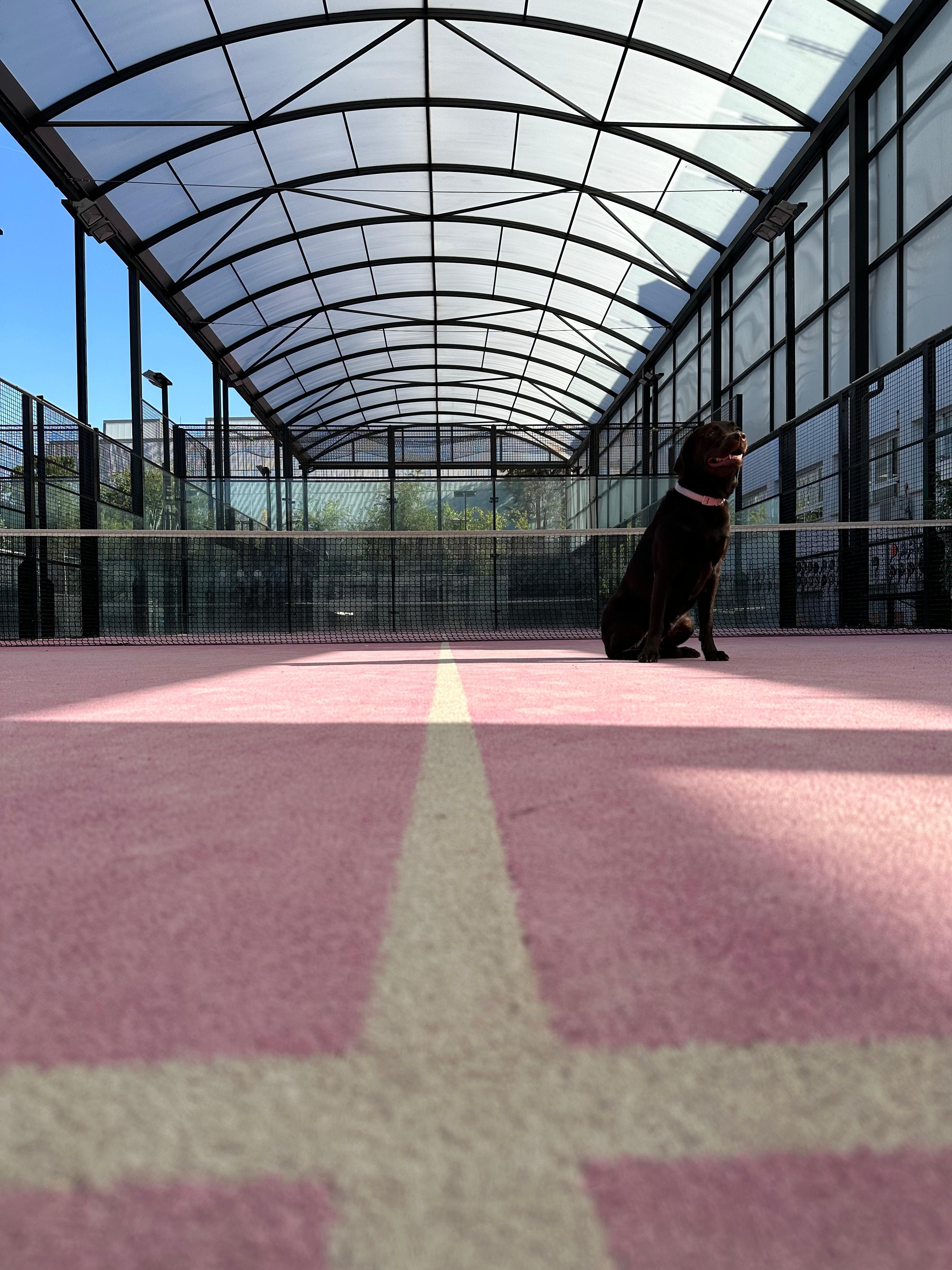 Riber Pádel Moraleja - Foto 7